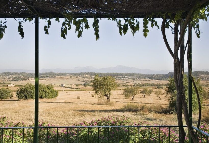 침실 1개 테라스 아파트, Agroturismo Sa Rota D  En Palerm