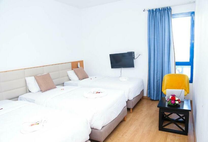 标准三人间, Senator Agadir