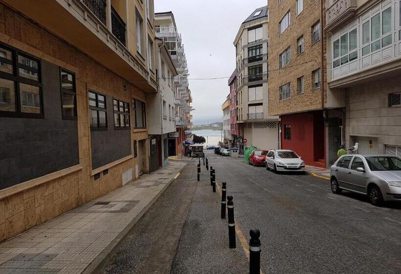 آپارتمان 1 خوابه, Fermont