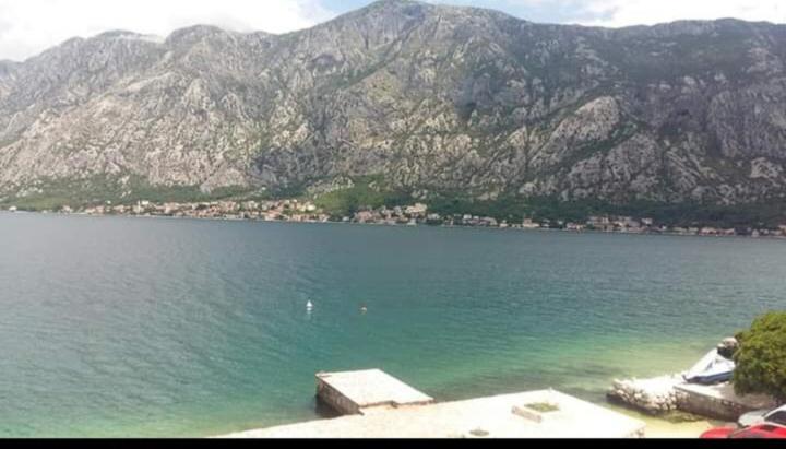 اتاق لوکس, Apartments Vila Marija