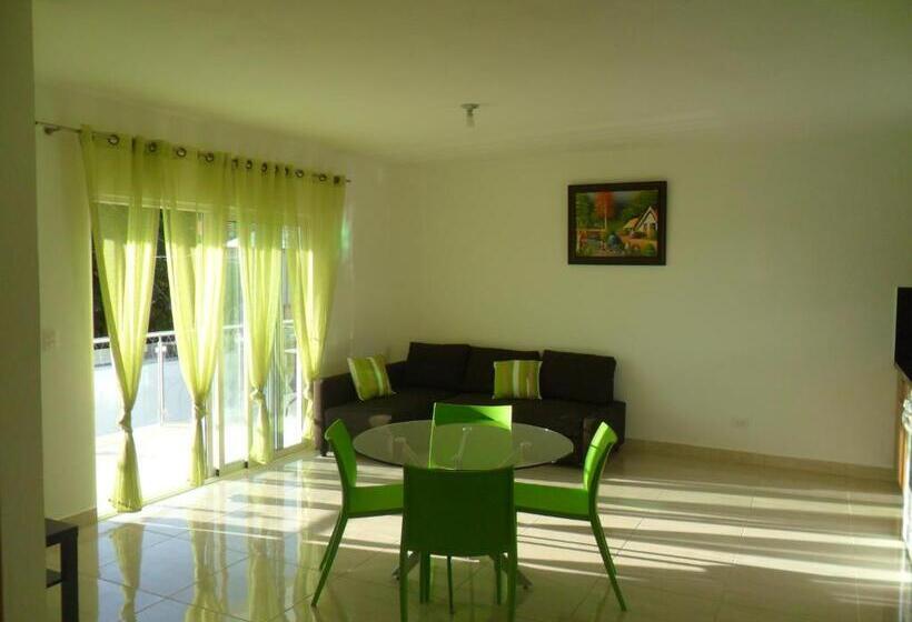 آپارتمان 1 خوابه با تراس, Centro De Santiago