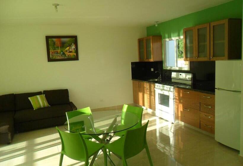 آپارتمان 1 خوابه با تراس, Centro De Santiago