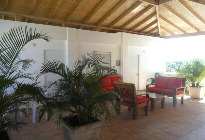 آپارتمان 1 خوابه با تراس, Centro De Santiago