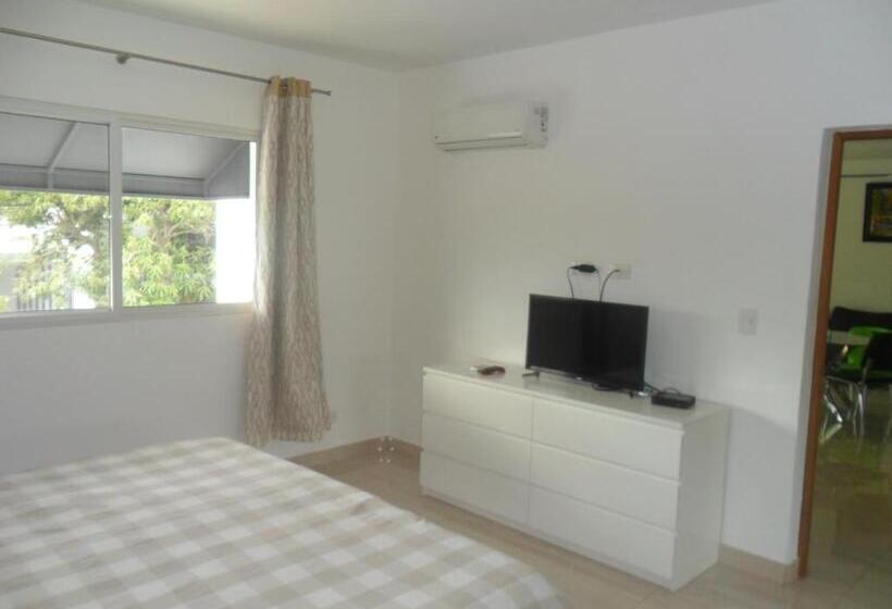 آپارتمان 1 خوابه با تراس, Centro De Santiago