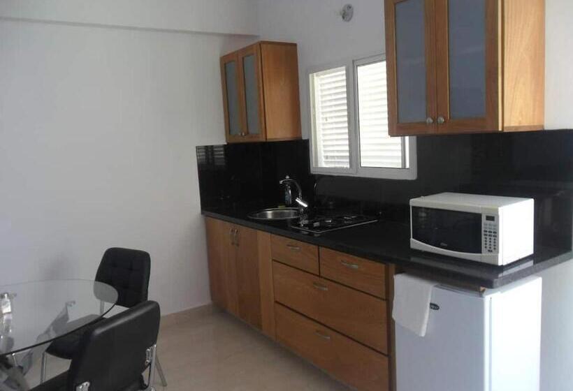 آپارتمان لوکس 1 خوابه, Centro De Santiago