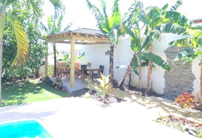 آپارتمان 1 خوابه با تراس, Centro De Santiago