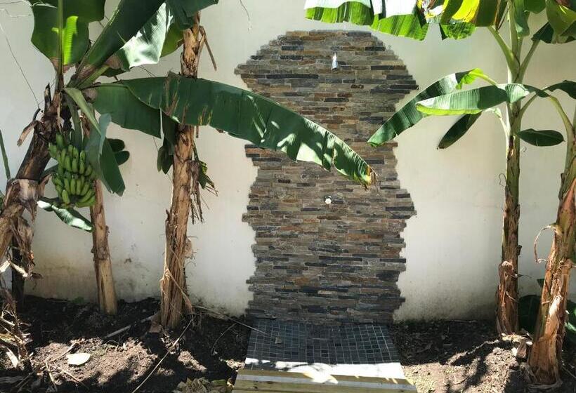 اتاق استاندارد با تخت بزرگ, Centro De Santiago