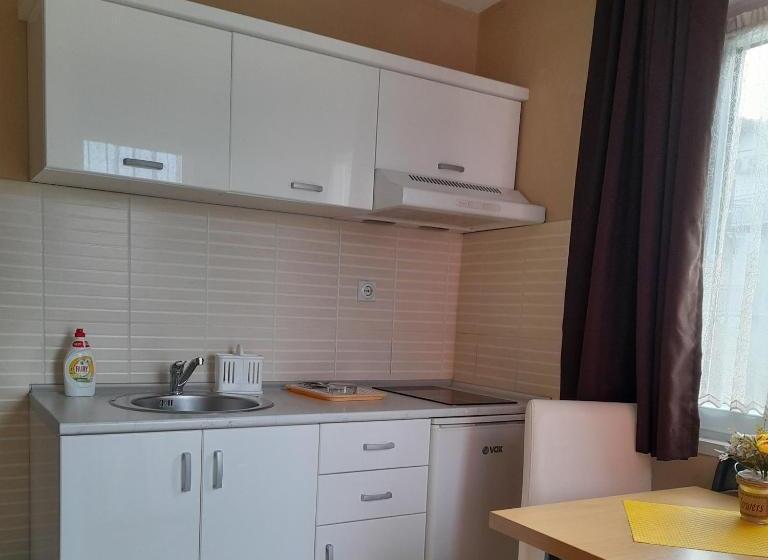 استودیو استاندارد با بالکن, Konak Vila Mirković