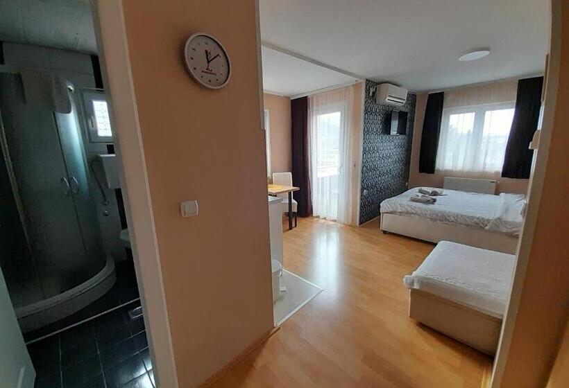 استودیو استاندارد با بالکن, Konak Vila Mirković