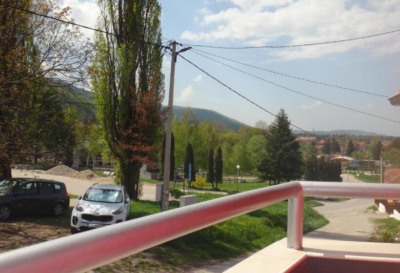 استودیو خانوادگی, Konak Vila Mirković