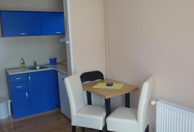 استودیو خانوادگی, Konak Vila Mirković