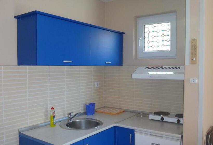 استودیو خانوادگی, Konak Vila Mirković