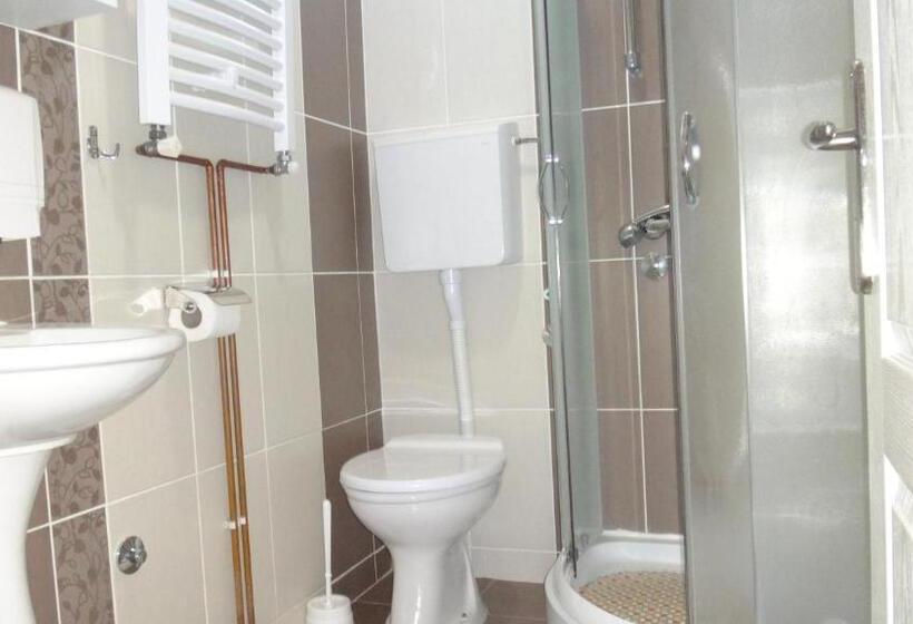 آپارتمان 1 خوابه با تراس, Konak Vila Mirković