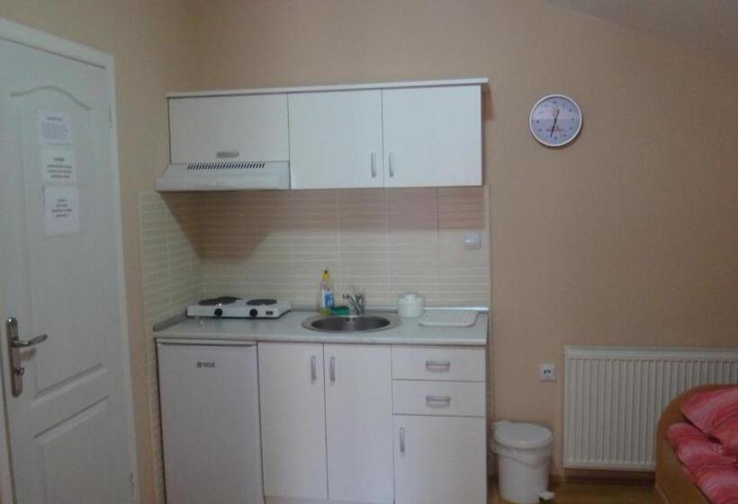 آپارتمان 1 خوابه با تراس, Konak Vila Mirković