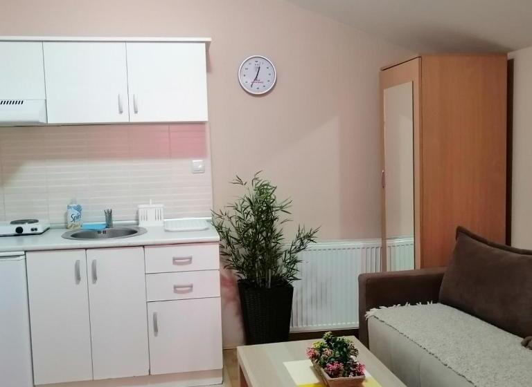 آپارتمان 1 خوابه با تراس, Konak Vila Mirković