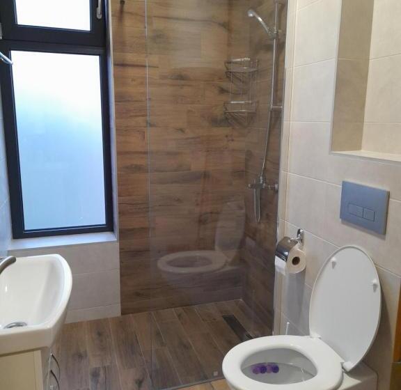 آپارتمان 1 خوابه با چشمانداز باغ, Konak Vila Mirković