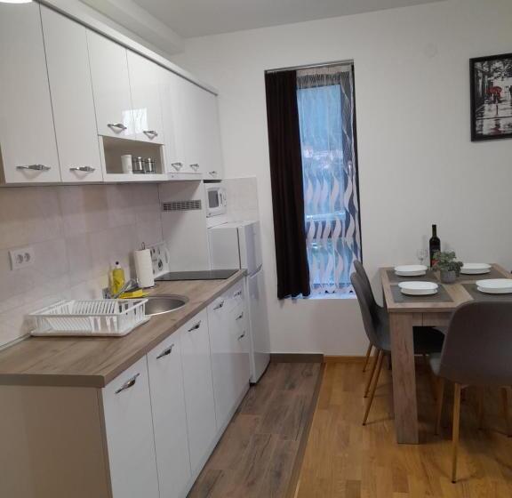 آپارتمان 1 خوابه با چشمانداز باغ, Konak Vila Mirković