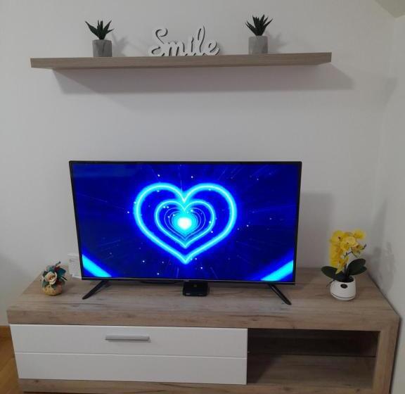 آپارتمان 1 خوابه با چشمانداز باغ, Konak Vila Mirković