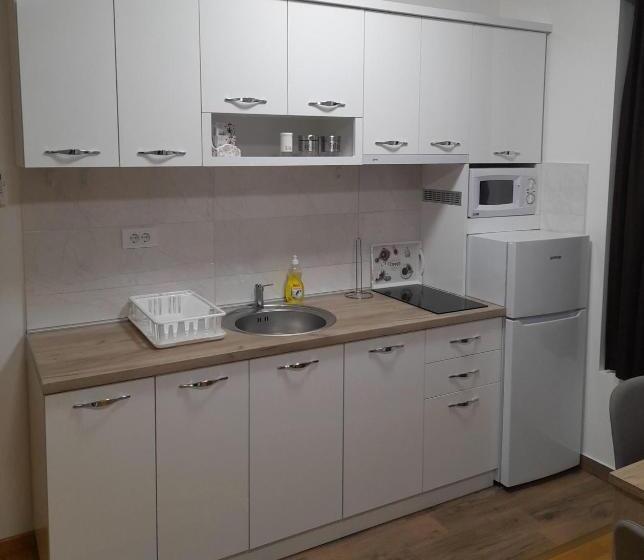 آپارتمان 1 خوابه با چشمانداز باغ, Konak Vila Mirković