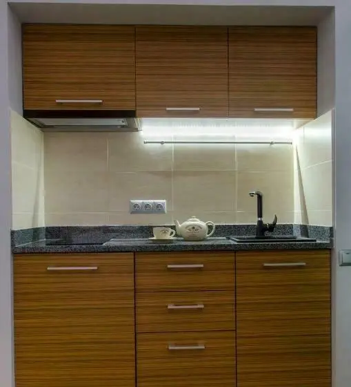 اتاق استاندارد, Pushkinskaya Apartments