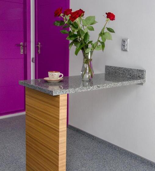 شقة ديلوكس غرفة نوم واحدة, Pushkinskaya Apartments