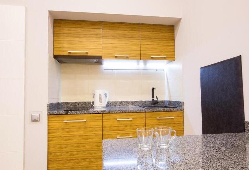 شقة ديلوكس غرفة نوم واحدة, Pushkinskaya Apartments