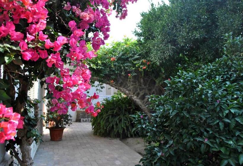 آپارتمان 2 خوابه, Appartamenti Ischia La Sentinella