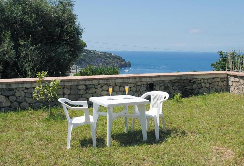 Escritório Basic, Appartamenti Ischia La Sentinella