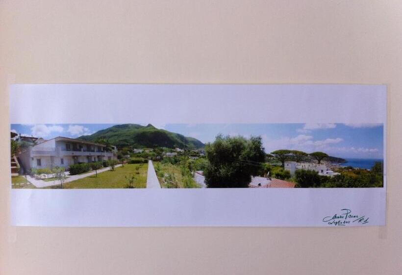 استودیو ساده, Appartamenti Ischia La Sentinella