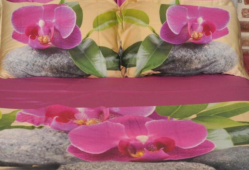 اتاق لوکس, Apartments đukić