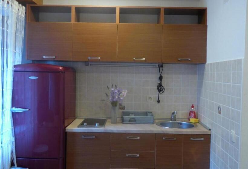 اتاق استاندارد, Apartments đukić