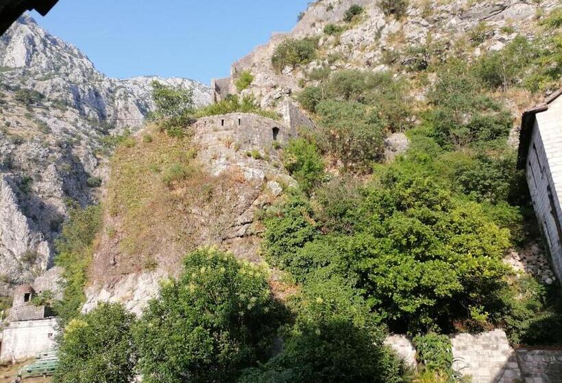 اتاق اکونومی, Apartments đukić