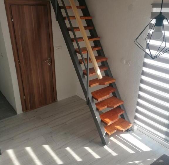 استودیوی استاندارد, Guesthouse Panorama