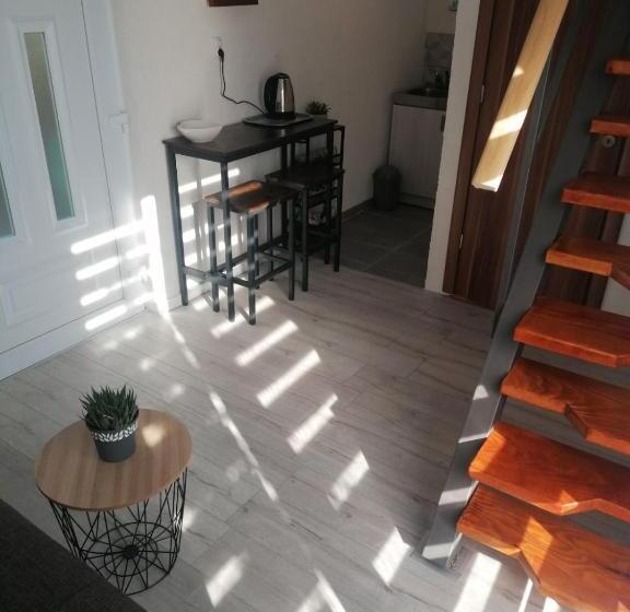 استودیوی استاندارد, Guesthouse Panorama