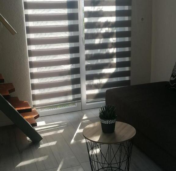 استودیوی استاندارد, Guesthouse Panorama