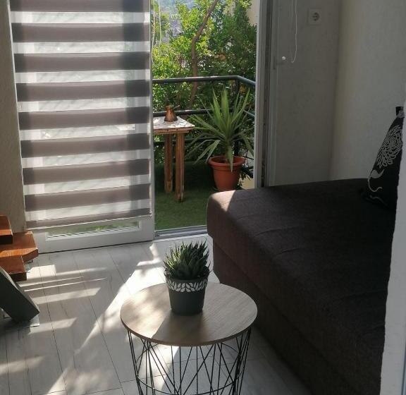 استودیوی استاندارد, Guesthouse Panorama