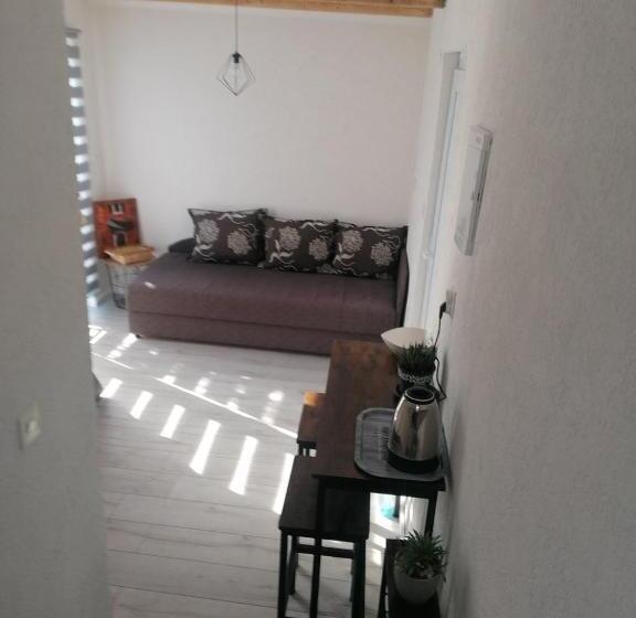 استودیوی استاندارد, Guesthouse Panorama