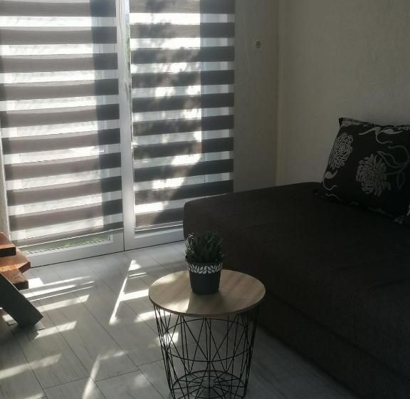 استودیوی استاندارد, Guesthouse Panorama