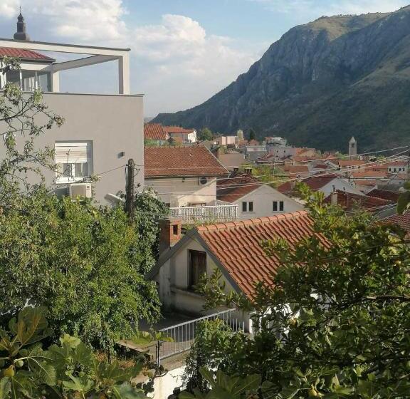 استودیوی استاندارد, Guesthouse Panorama