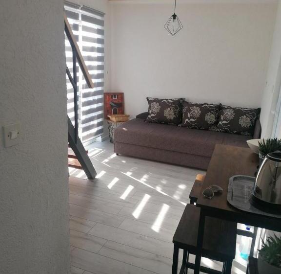 استودیوی استاندارد, Guesthouse Panorama