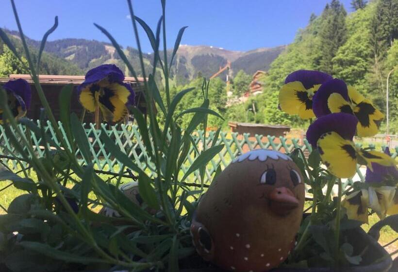 샬레, Landhaus Marlies