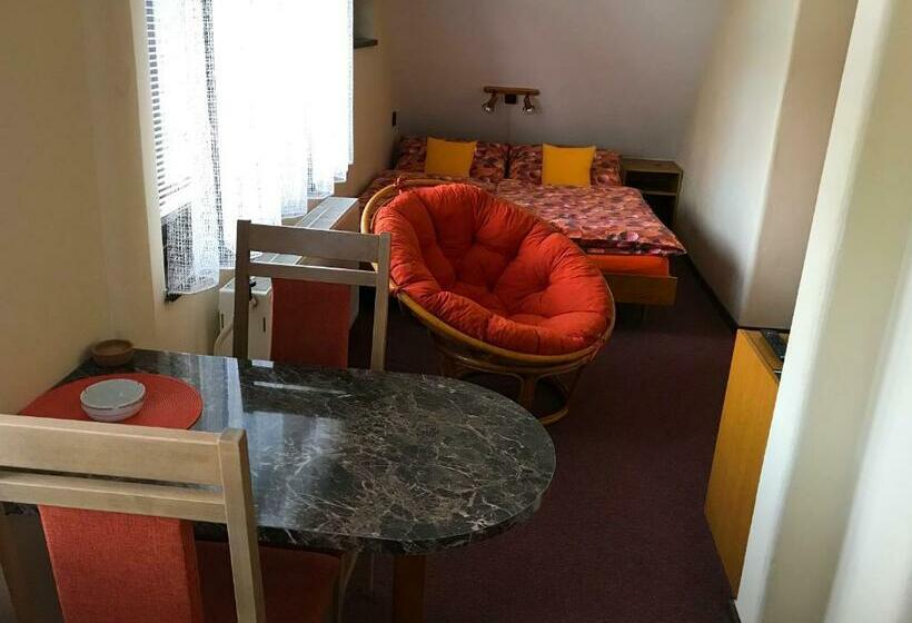 스탠다드 스튜디오, Penzion Z&z