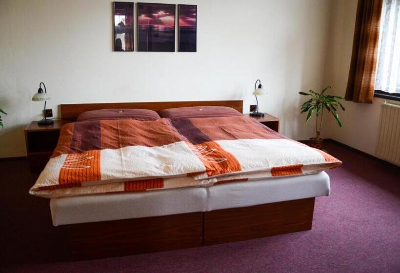 침실 1개 수피리어 아파트, Penzion Z&z