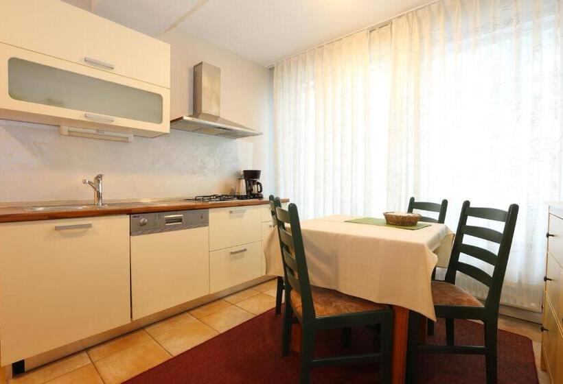 آپارتمان 1 خوابه با چشم‌انداز باغ, Vila Edelweiss Rooms&app Kranjska Gora