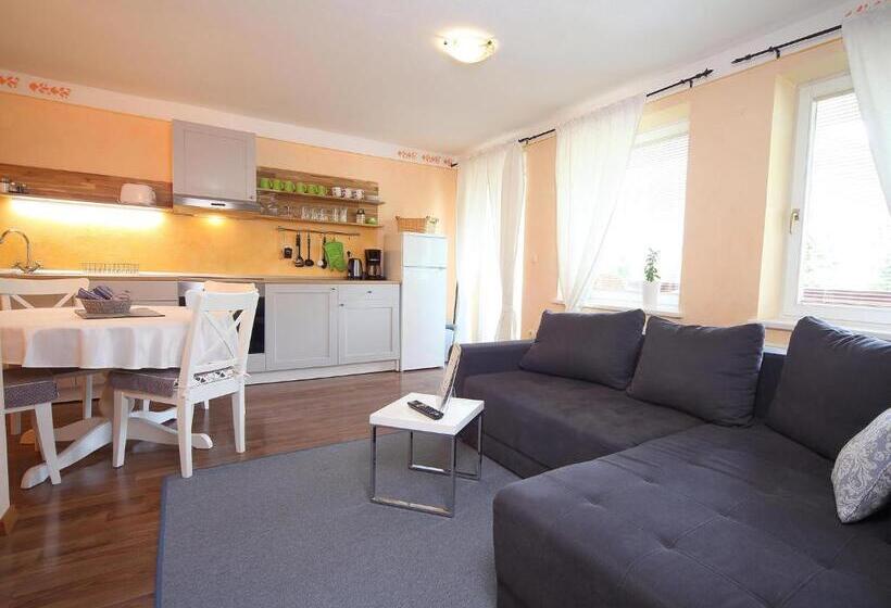 آپارتمان 1 خوابه با بالکن, Vila Edelweiss Rooms&app Kranjska Gora