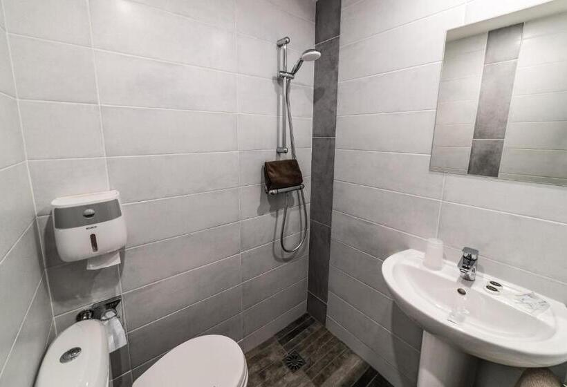 スタンダードシングルルーム, Furania