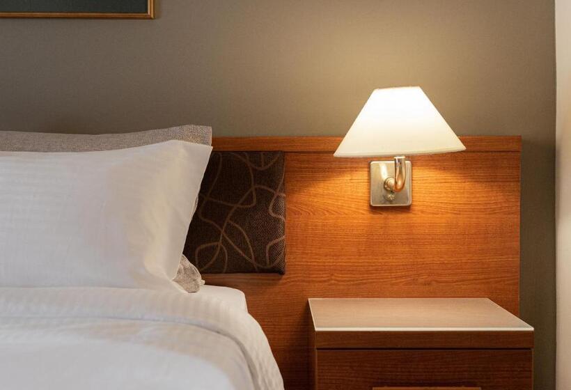 스탠다드 싱글 룸, Acropolis Select