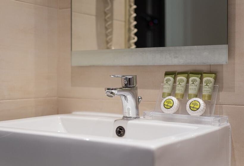 스탠다드 룸, Acropolis Select