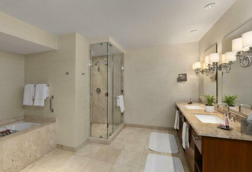 ماستر سويت, Bristol Panama, A Registry Collection