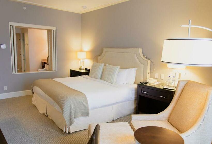 إستوديو قياسى سرير كينج, Bristol Panama, A Registry Collection